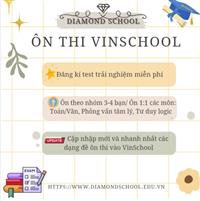 🍀ÔN THI VÀO VINSCHOOL CÙNG THẦY CÔ DIAMIOND💎💎
